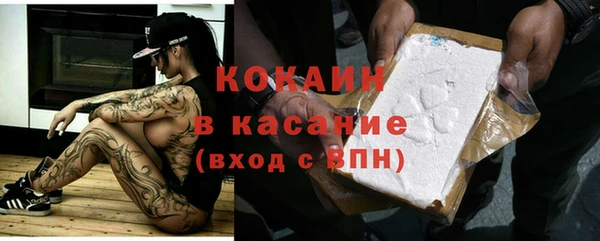 гашик Алексеевка