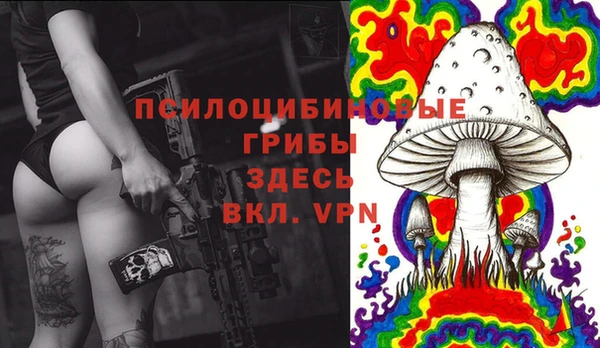 гашик Алексеевка