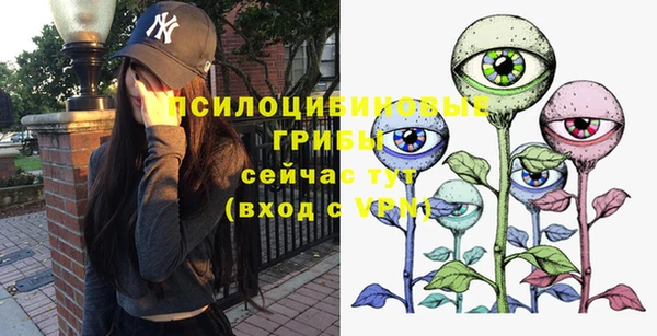 гашик Алексеевка